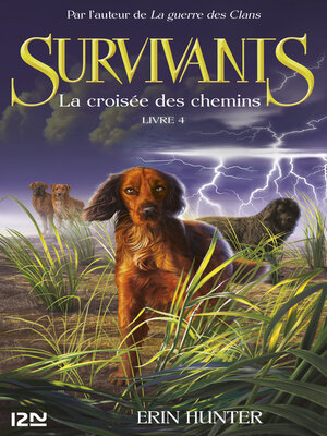 cover image of La croisée des chemins